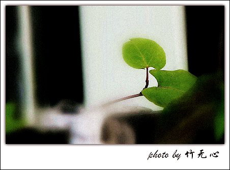 �ɱ�ȥ������~