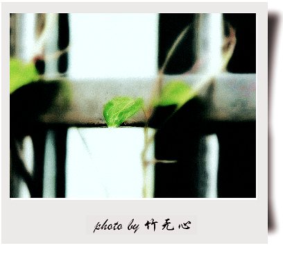 �ɱ�ȥ������~