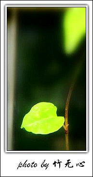 �ɱ�ȥ������~