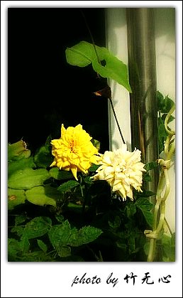 �ɱ�ȥ������~