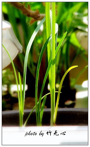 ����Ļ���~P8,�׻�������..