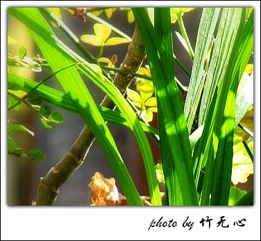 ����Ļ���~P8,�׻�������..