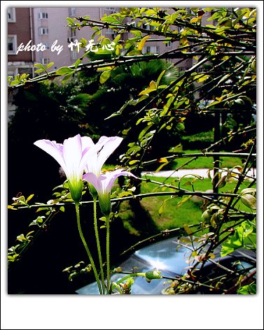 ����Ļ���~P8,�׻�������..