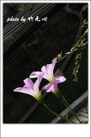 ����Ļ���~P8,�׻�������..