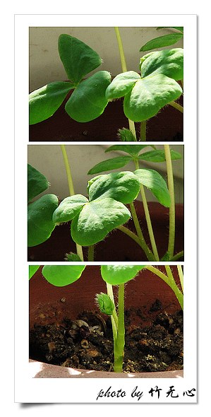 ����Ļ���~P8,�׻�������..