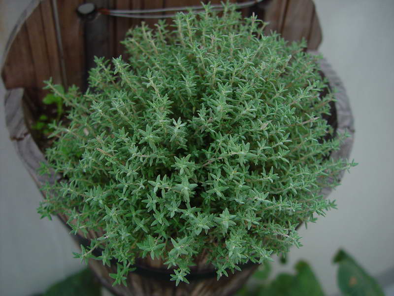 ����,�����������ݱ�ƪ��P10���Ĳ��ã�