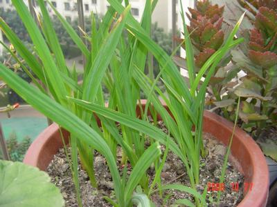 ����Ļ�(ʹ�����ٶȿ���18ҳ)