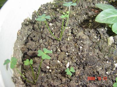 ����Ļ�(ʹ�����ٶȿ���18ҳ)