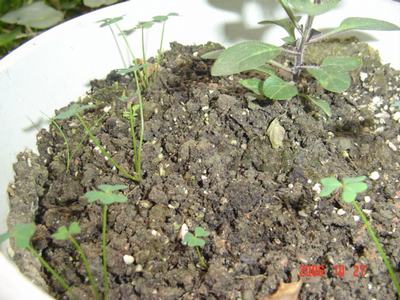 ����Ļ�(ʹ�����ٶȿ���18ҳ)