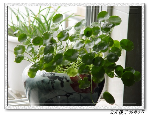 ����ƪ----�¹���������