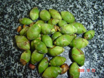 ����Ļ�(XYP�������ÿ�����23ҳ)