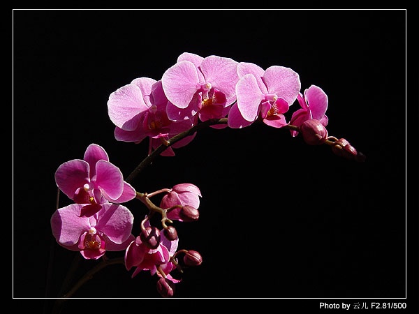 ����ƪ----�¹���������