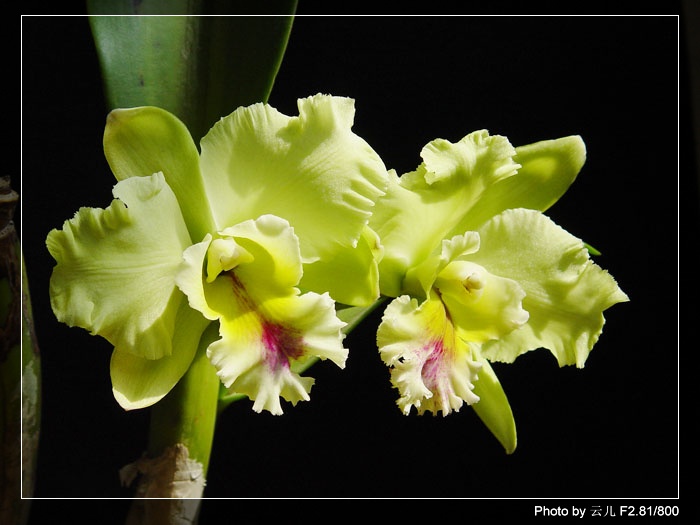 ����ƪ----�¹���������