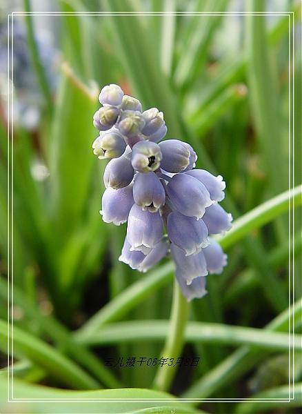 ����ƪ----�¹���������