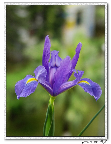 ����ƪ----�¹���������