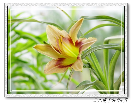 ����ƪ----�¹���������