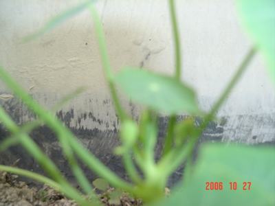 �ɰ��Ľ���(16ҳ����)