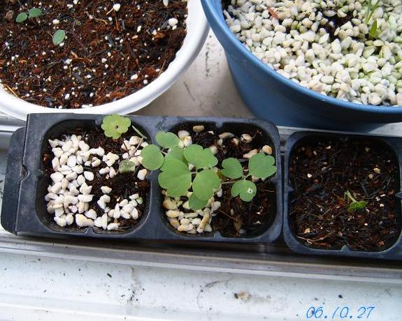 С�������ڳɳ���10/23����~P21��