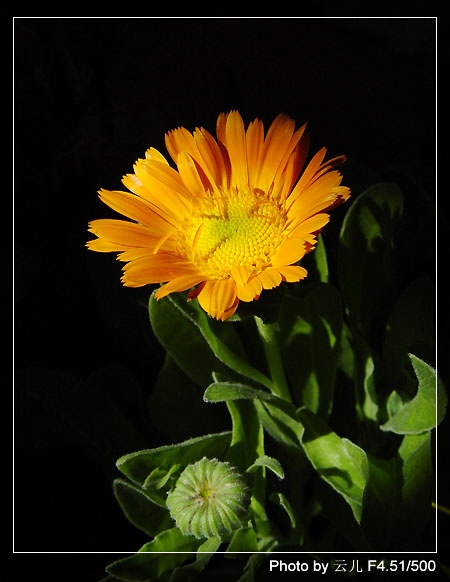 ����ƪ----�¹���������