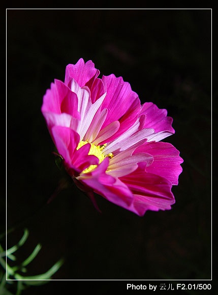 ����ƪ----�¹���������