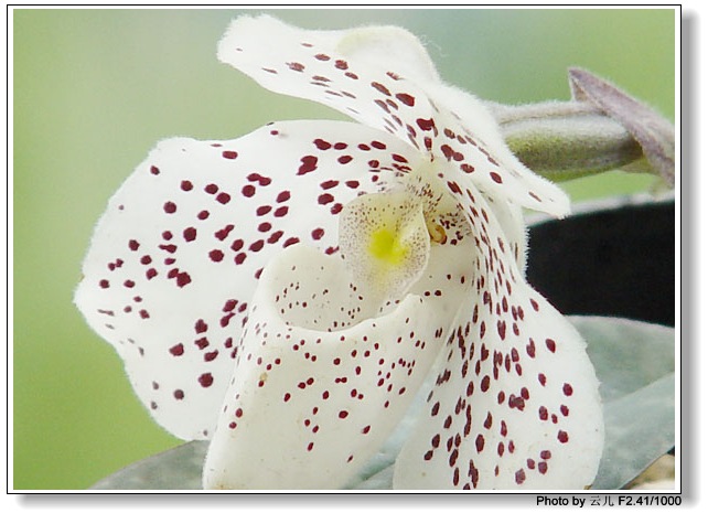 ����ƪ----�¹���������