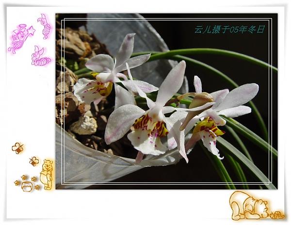 ����ƪ----�¹���������