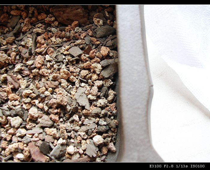 [ʯͷ�γ�ƪ��ֲ��¼]P10�����ļ�����ĵ���!