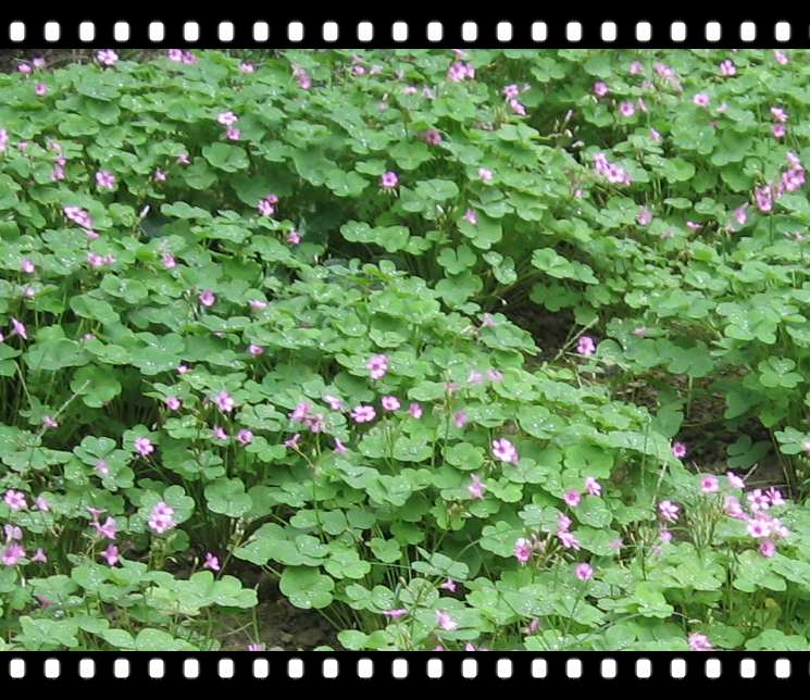 �ö����ʰ��������ݵĻ����и��ˣ�