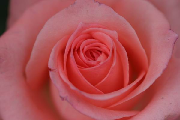 ���伯----�ҵ��¼���԰(�У�3���£�