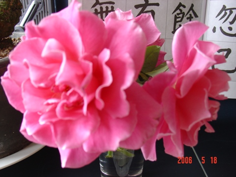 ���Ǽ���ʵ��СԺ��