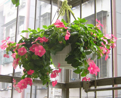 ��ʹ����ѿ��������P3��