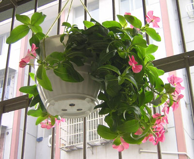 ��ʹ����ѿ��������P3��