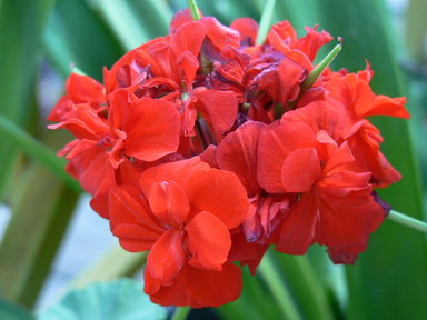 [ԭ��]�ҵĻ���