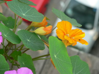 [ԭ��]�ҵĻ���