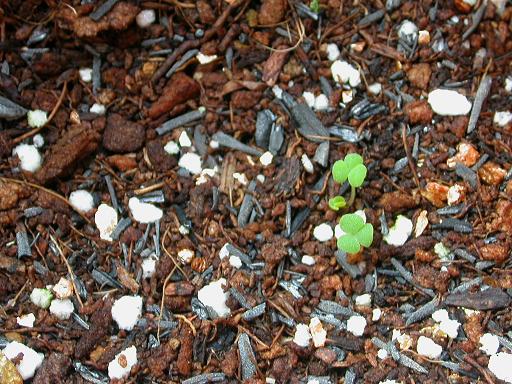 ���ʴ�ҵ���������ѿ����