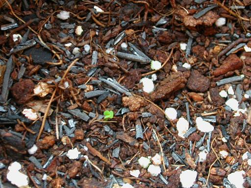 ���ʴ�ҵ���������ѿ����