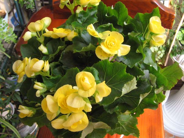 [��ͼ]��̨�����㱨(��������PP--����PP��P6/7)