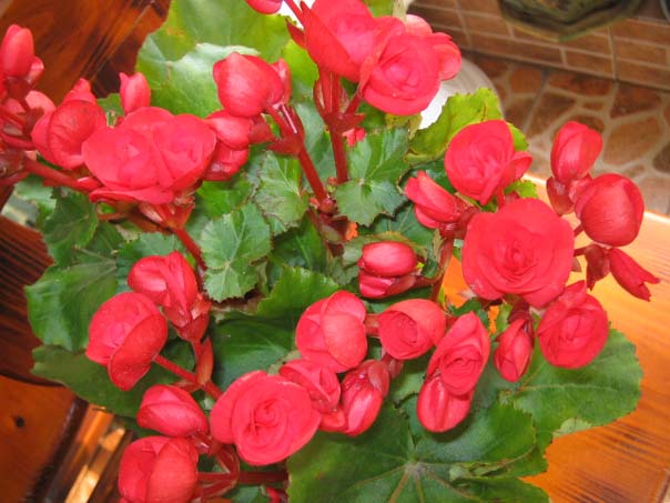 [��ͼ]��̨�����㱨(��������PP--����PP��P6/7)