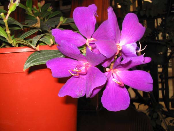 [��ͼ]��̨�����㱨(����PP��P7/8)