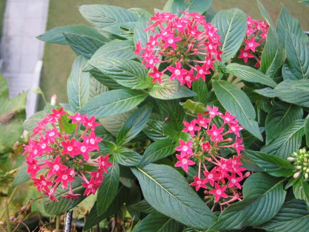 [��ͼ]��̨�����㱨(����PP��P7/8)