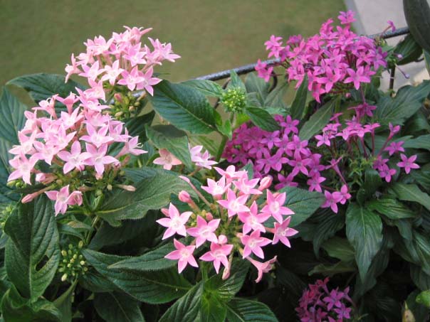 [��ͼ]��̨�����㱨(����PP��P7/8)