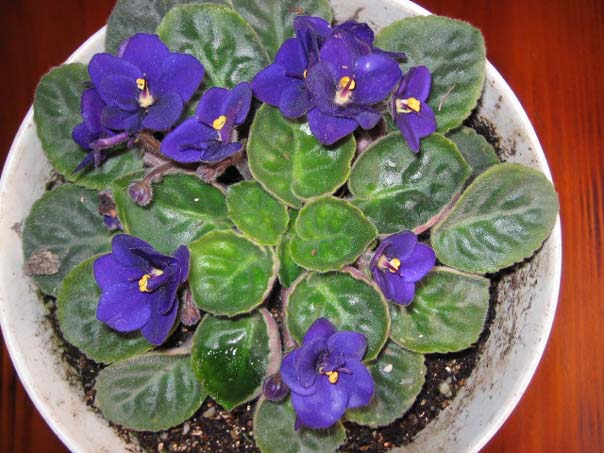 [��ͼ]��̨�����㱨(����PP��P7/8)