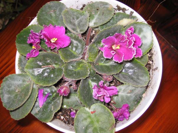 [��ͼ]��̨�����㱨(����PP��P7/8)