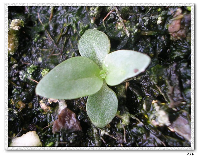 ��۹������ĵ�