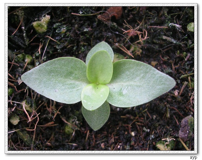 ��۹������ĵ�