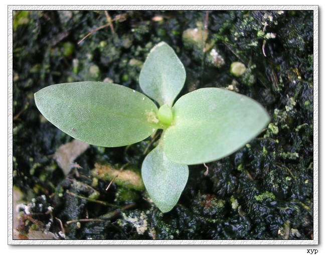 ��۹������ĵ�