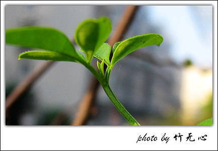 �ɱ�ȥ������~