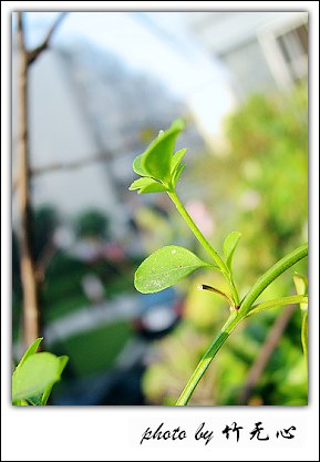 �ɱ�ȥ������~