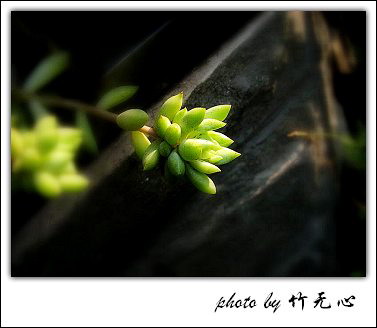 �ɱ�ȥ������~