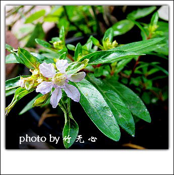 �ɱ�ȥ������~